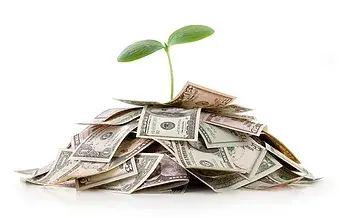 a green plant growing from a pile of money